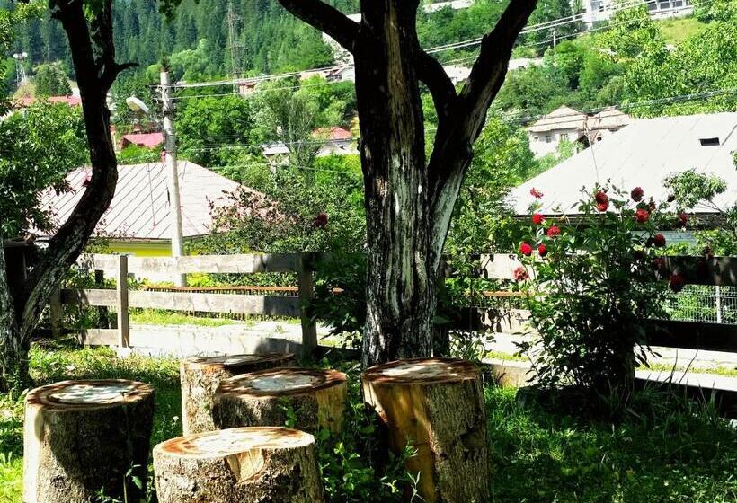 پانسیون Vila Giulia Voineasa