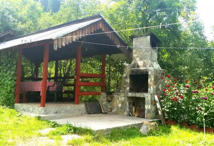 Majatalo Vila Giulia Voineasa