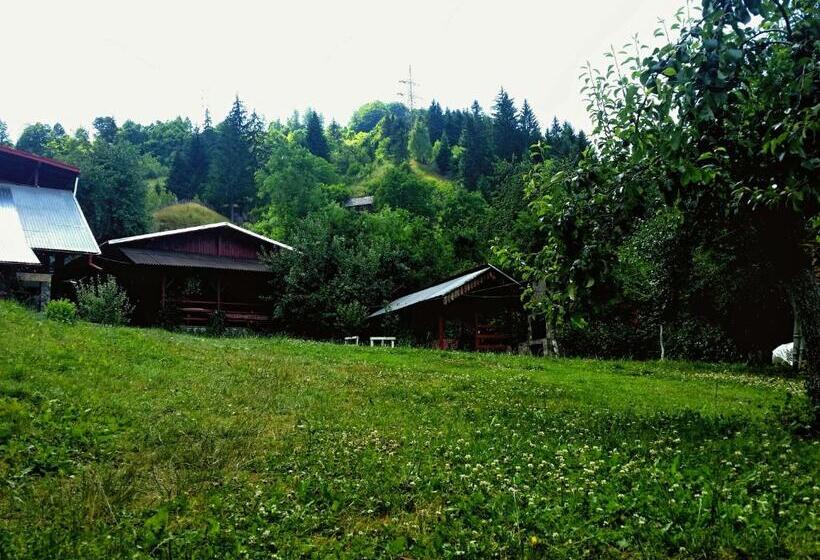 پانسیون Vila Giulia Voineasa