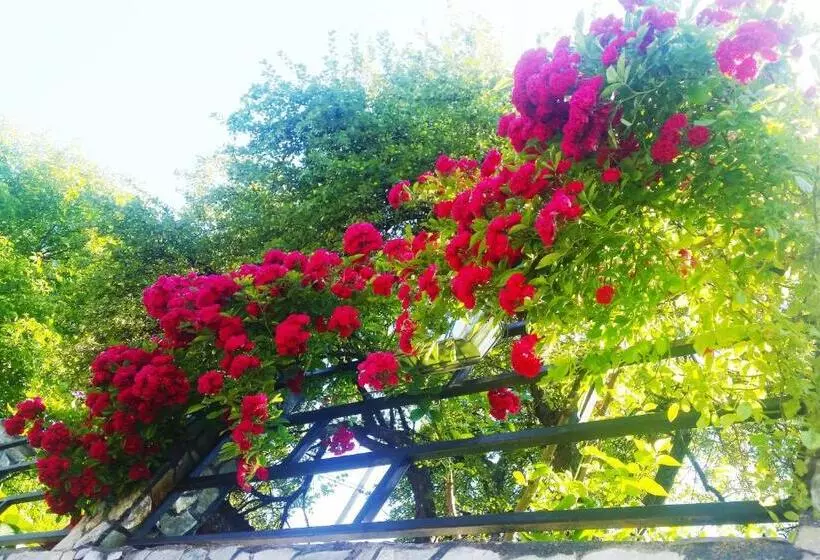 Majatalo Vila Giulia Voineasa