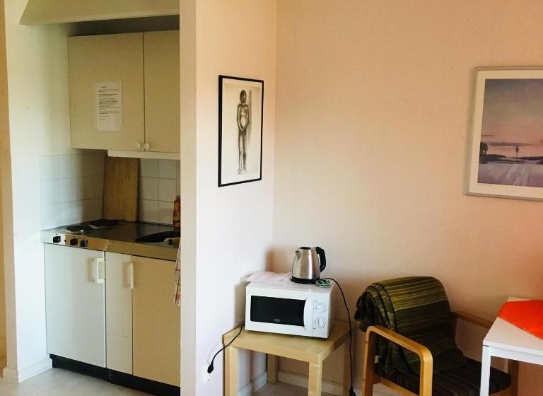 فندق صغير Furudals Bruk