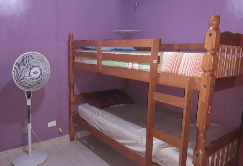 ユースホステル Tourist Center Of  Tours Of Panamá