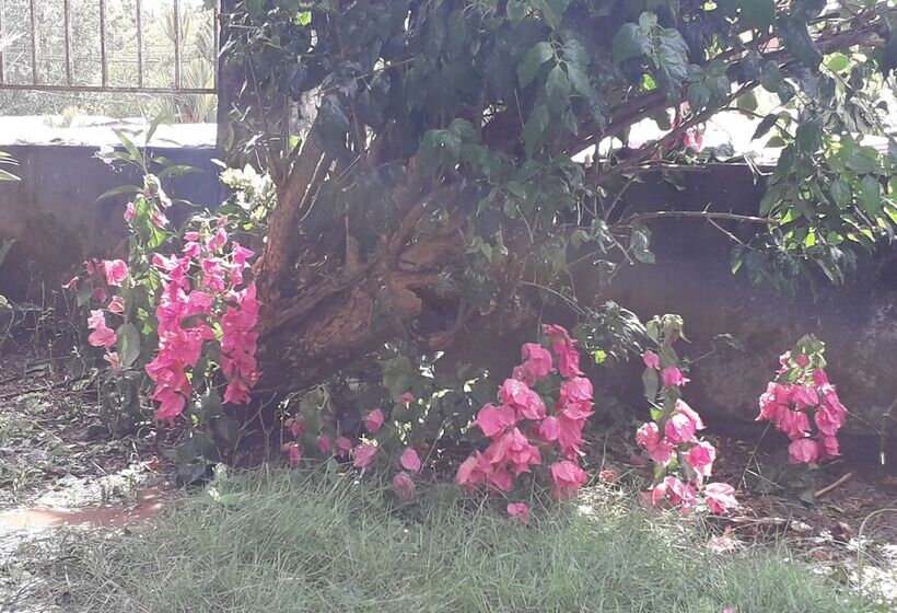 فندق صغير Tourist Center Of  Tours Of Panamá