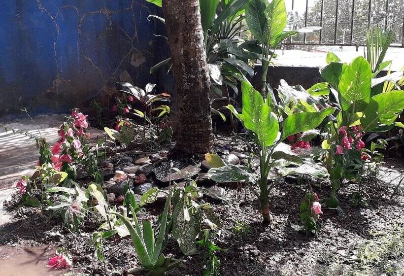 فندق صغير Tourist Center Of  Tours Of Panamá