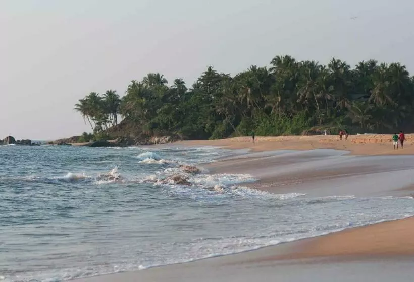 ベッドアンドブレックファースト Colibri Villa