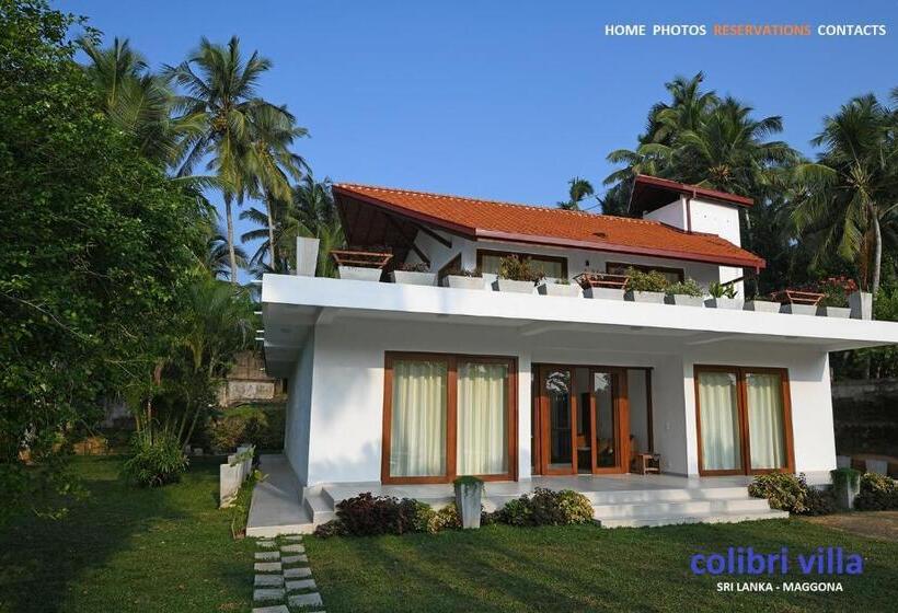 Bed and Breakfast Colibri Villa