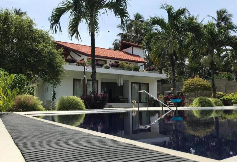 Bed and Breakfast Colibri Villa