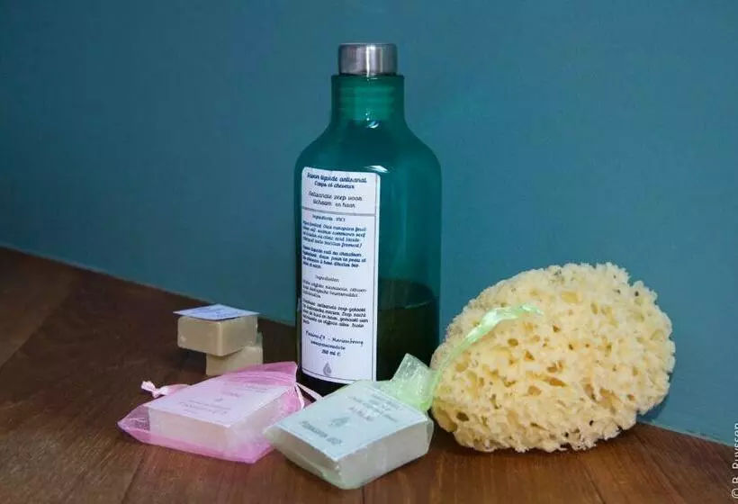 Aamiaismajoitus (B&B) Les Petits Secrets De Nonna Chambre D Hote Dinant