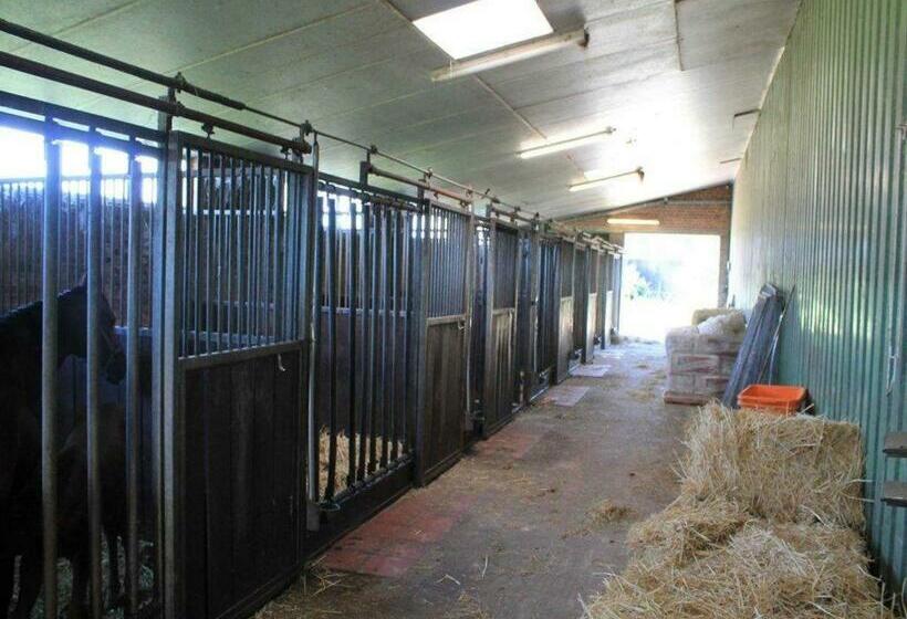 Отель Ferienwohnung Tjaddehof, 45226