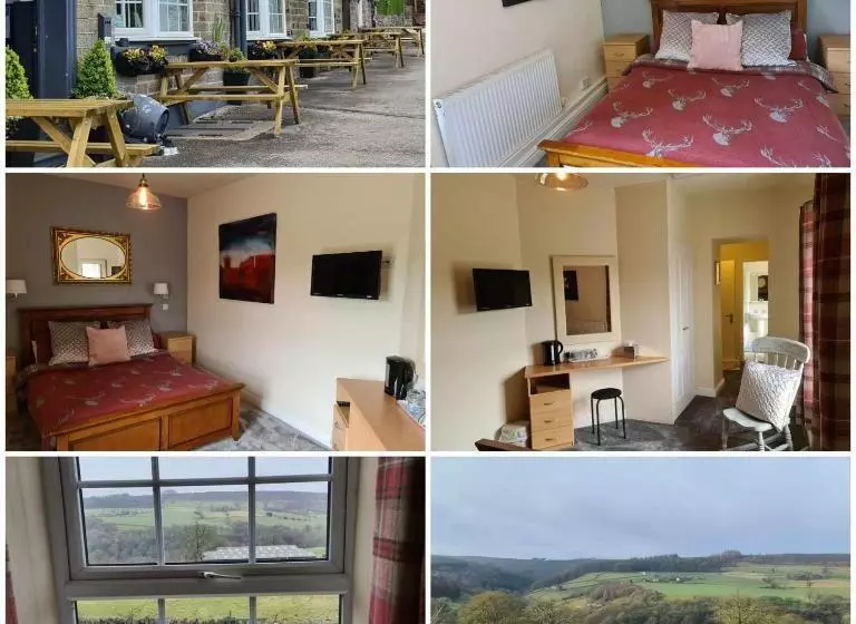 ホテル The Shady Oak B&b