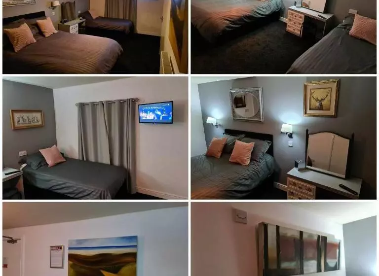 ホテル The Shady Oak B&b