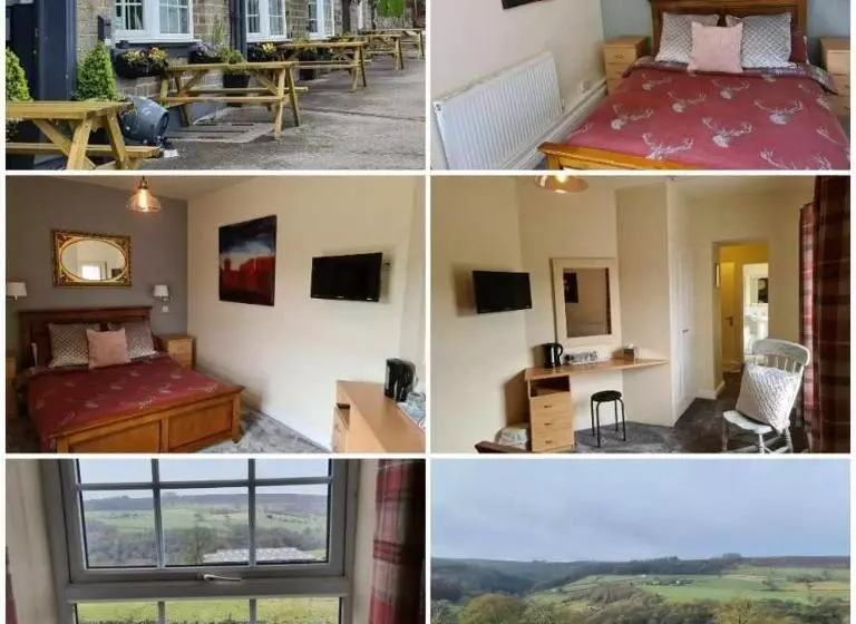 ホテル The Shady Oak B&b