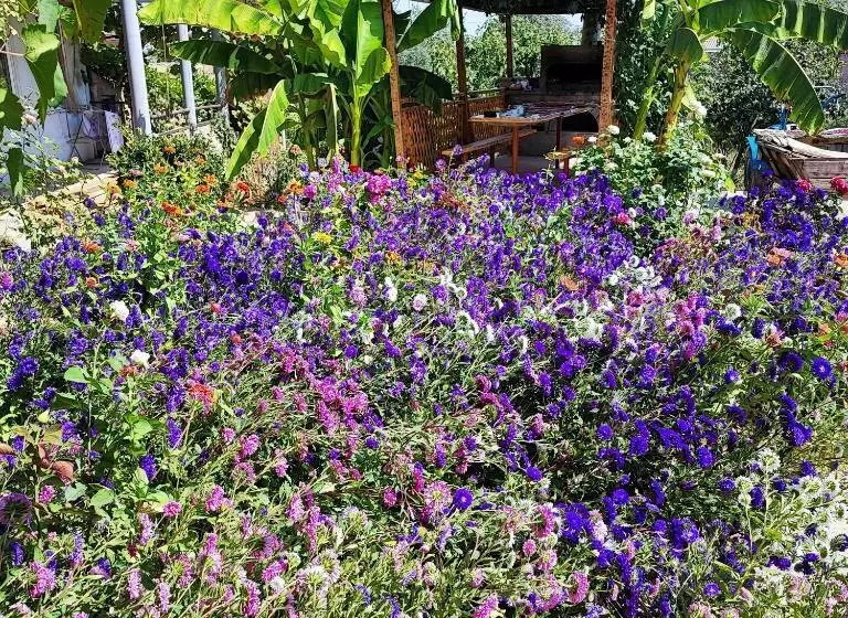 ペンション Berdavan Guesthouse