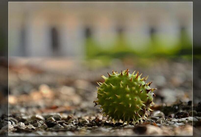 펜션 Penzion Pri Kastieli Betliar