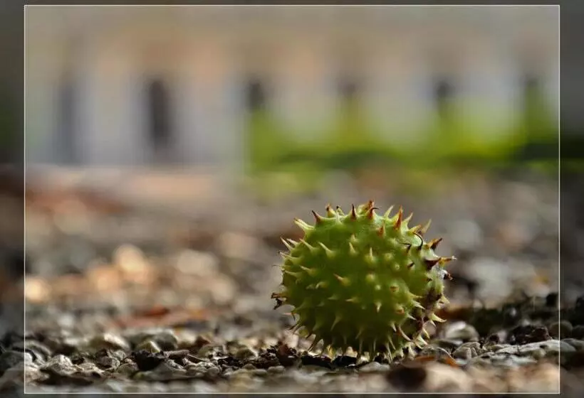 Majatalo Penzion Pri Kastieli Betliar