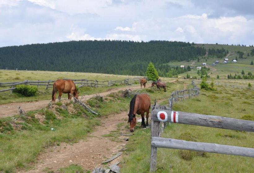 بنسيون Podina Guest House