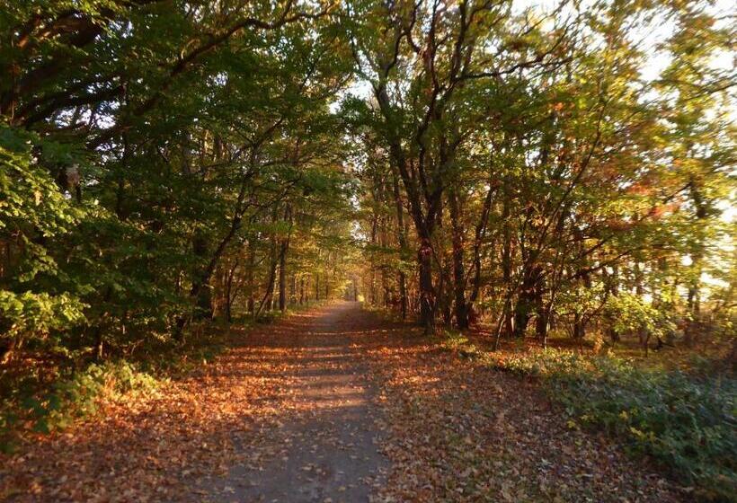 リゾートホテル Gut Nisdorf   Bio Urlaub An Der Ostsee