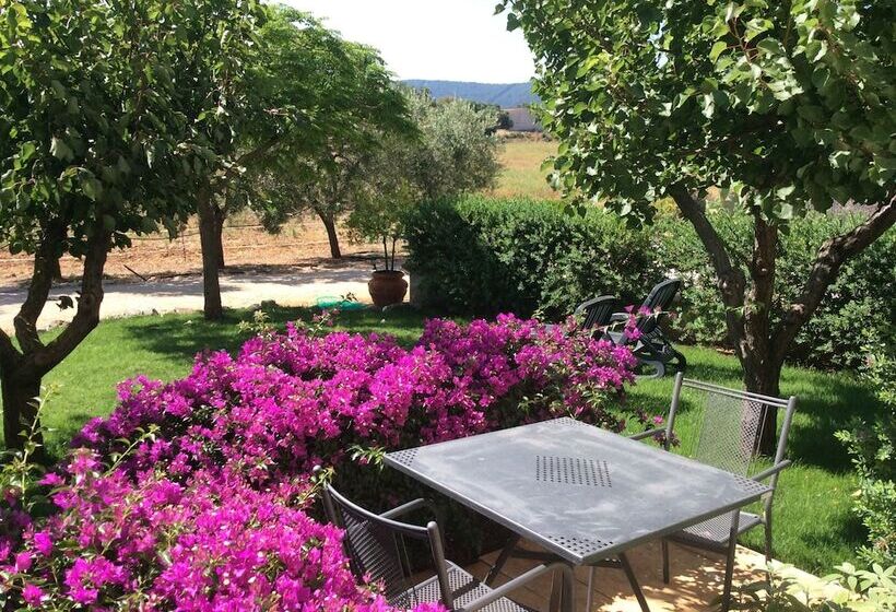 住宿加早餐 Villa Narducci