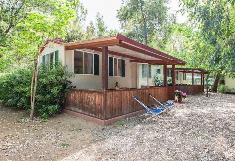 酒店 Camping Marina