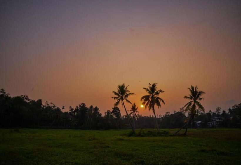 بنسيون Green View Homestay