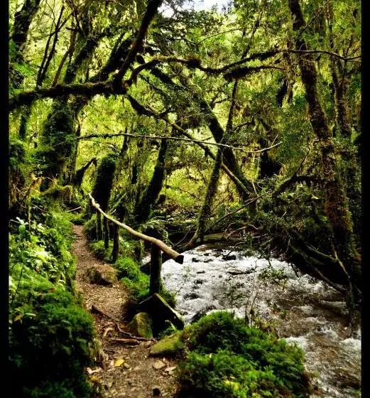 Aamiaismajoitus (B&B) Apartamentos Yagan