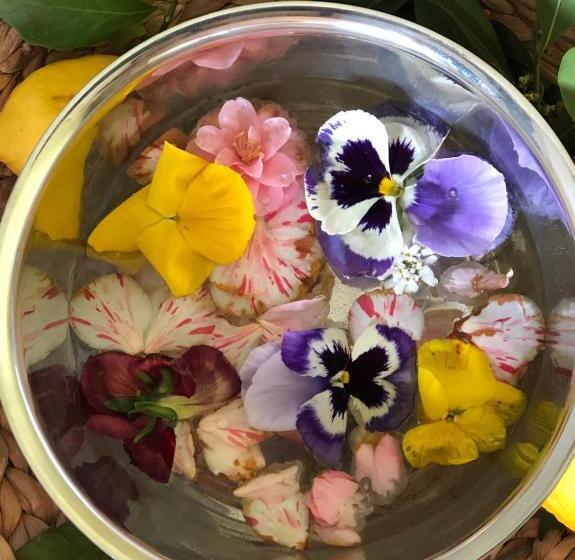 ホテル Stella D'italia