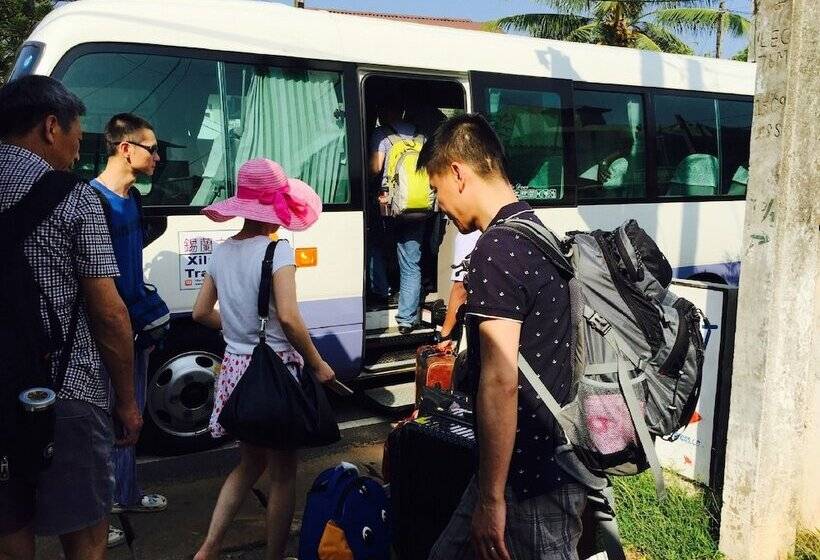 Отель The Forest