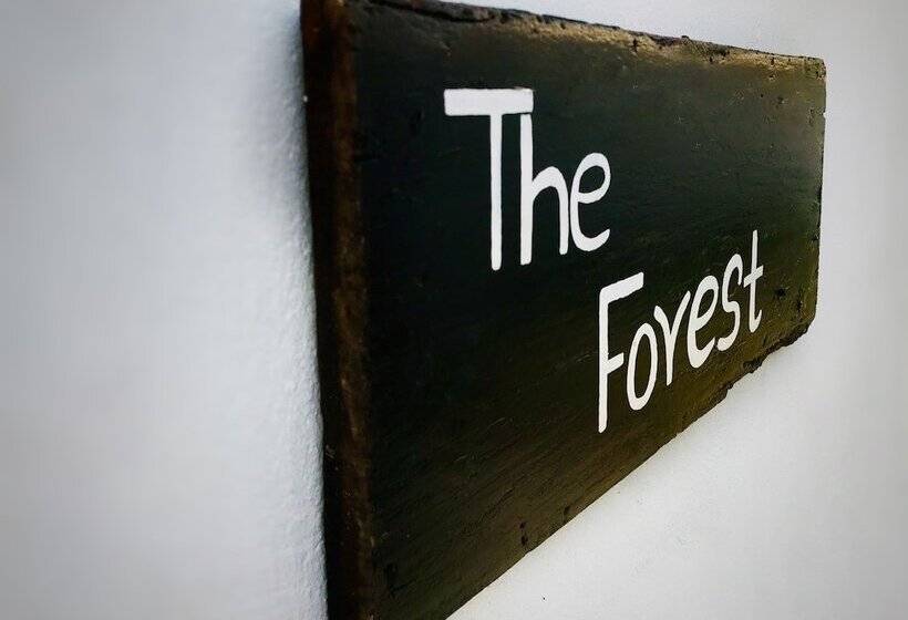Отель The Forest