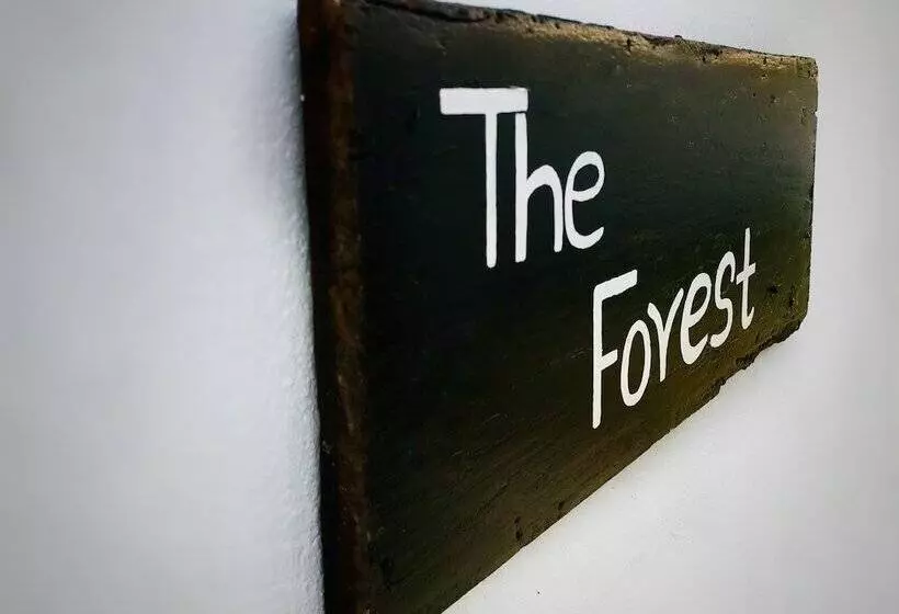 هتل The Forest