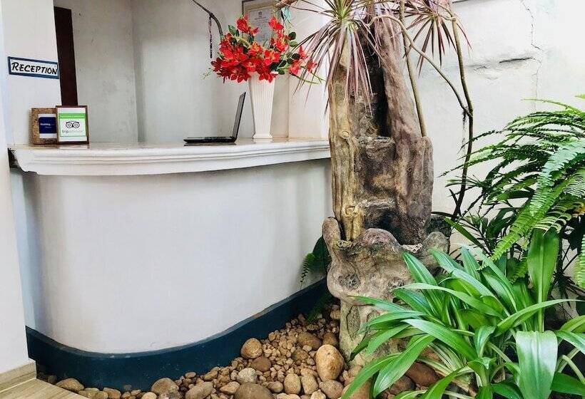 Отель The Forest