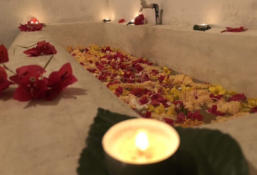 فندق The Retreat