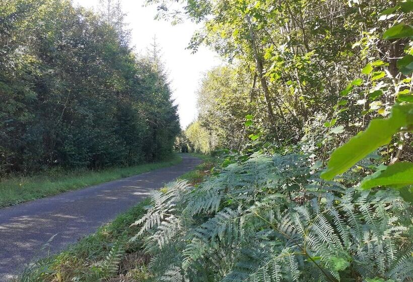 Tig Na Coille B&b Country House