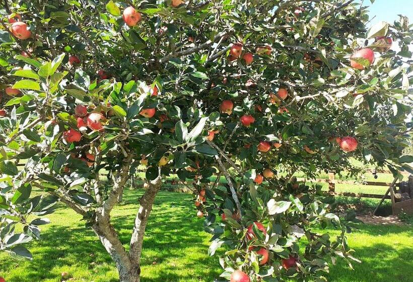 Tig Na Coille B&b Country House