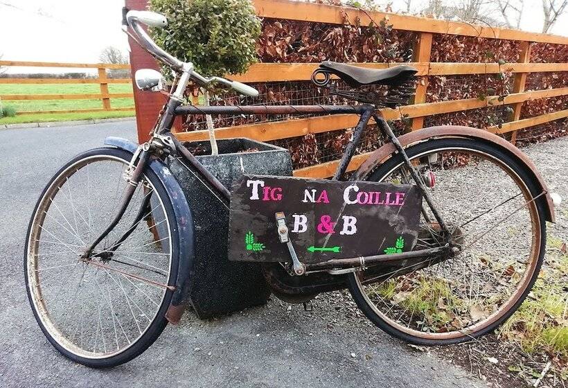Tig Na Coille B&b Country House