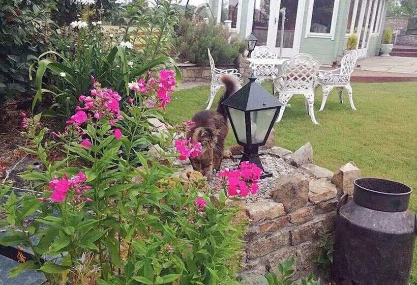 Tig Na Coille B&b Country House