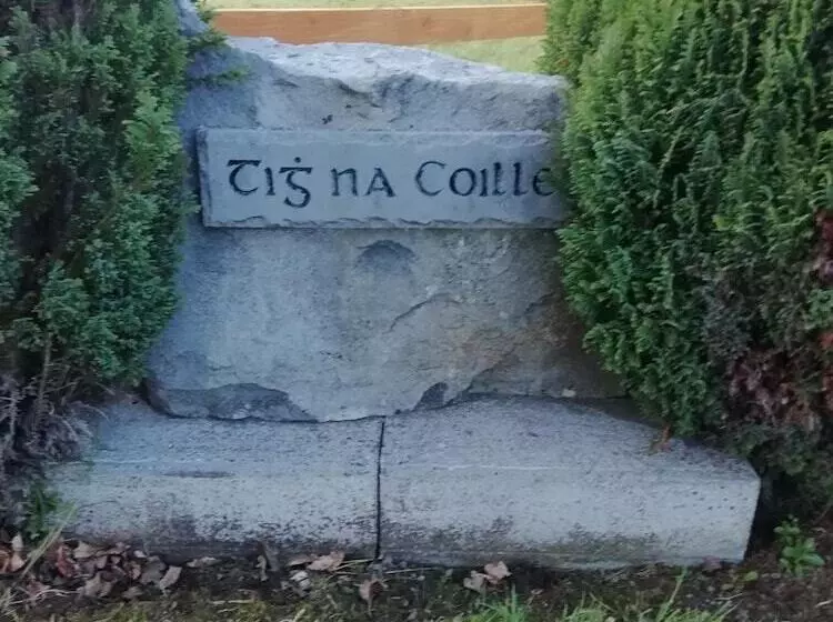 Tig Na Coille B&b Country House