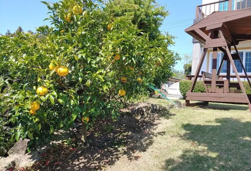 ホテル Gyulhouse Pension