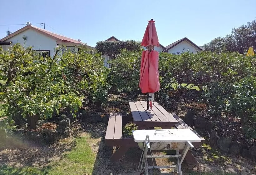 ホテル Gyulhouse Pension