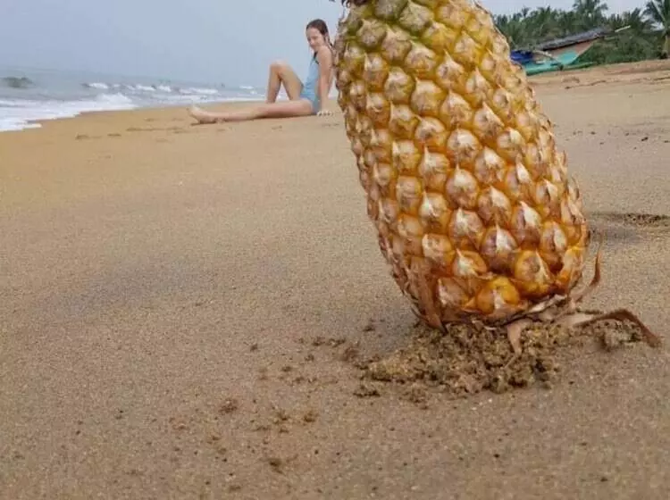 Hotelli Mihilaka Holiday Homes