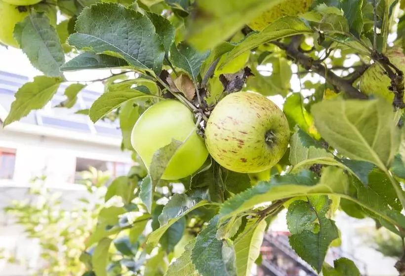 Hotelli The Browns  Luxury Guest Suites