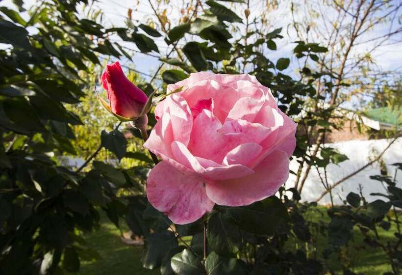 Отель The Browns Luxury Guest Suites