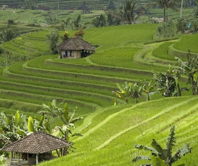 Hotel Cempaka Belimbing Villa