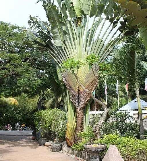 هتل Chateau St Cloud