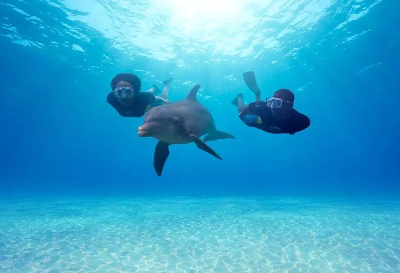 هتل Harborside Resort & Vacation Rentals At Atlantis