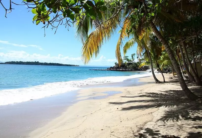 استراحتگاه Bahia Principe Grand Samana