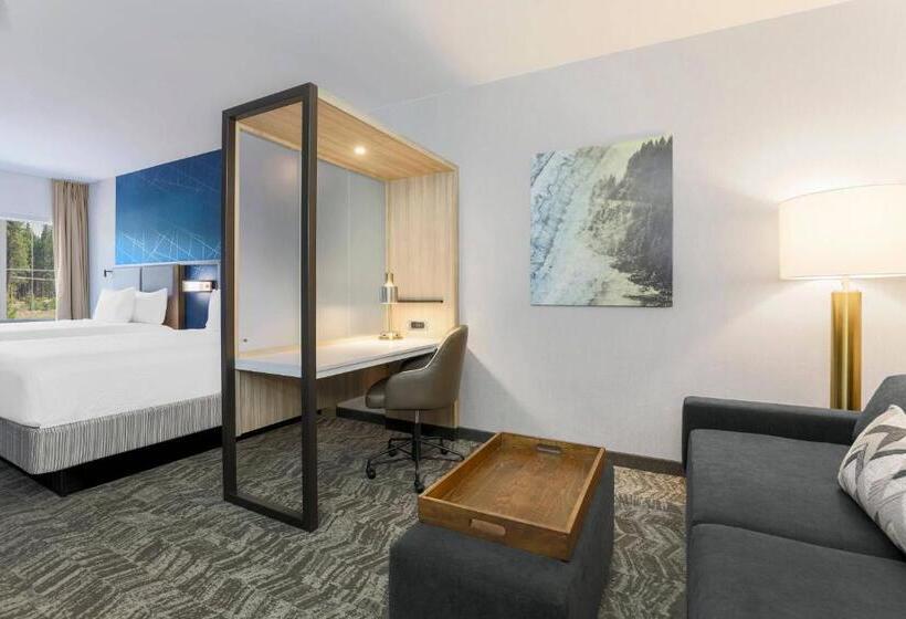 ホテル Springhill Suites By Marriott Truckee