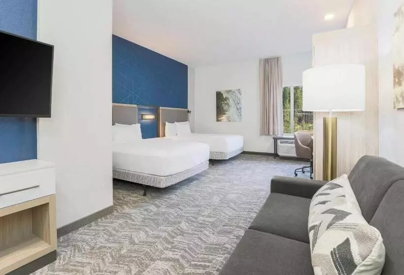 هتل Springhill Suites By Marriott Truckee