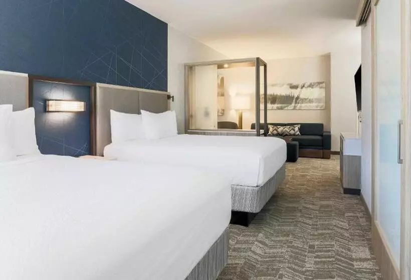 هتل Springhill Suites By Marriott Truckee