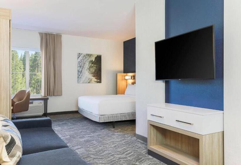 ホテル Springhill Suites By Marriott Truckee
