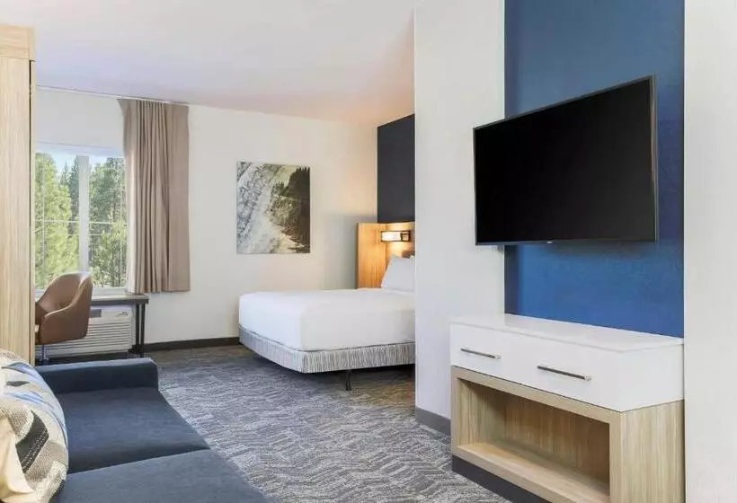 هتل Springhill Suites By Marriott Truckee